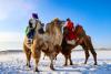 Eveniment inedit în Mongolia. "Festivalul celor o mie de cămile" vrea să impulsioneze turismul 18828605