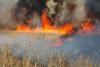 Apel al ISU Tulcea pentru stoparea incendiilor de vegetație. Pericol pentru oameni, habitate naturale și bunuri materiale 18829748