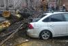 41 de copaci căzuți în București până la această oră și 32 de mașini avariate 18832950