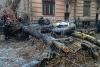 41 de copaci căzuți în București până la această oră și 32 de mașini avariate 18832951