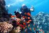 Atracțiile planetei: Sharm El Sheikh – paradisul amatorilor de scufundări și aventuri în deșert 18834998