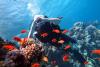 Atracțiile planetei: Sharm El Sheikh – paradisul amatorilor de scufundări și aventuri în deșert 18835076