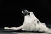 Dans al sinelui printre oglinzi, un vals al eșarfelor și ...  -Interviu cu balerina Manuela Elena Giuverdea- 18836920