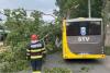 19 maşini avariate în Capitală. O persoană a fost rănită de un copac 18840379