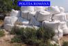 România, țara substanțelor periculoase: Mii de tone, confiscate de polițiști. Cât de toxică este mâncarea noastră?   18841693