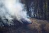 Fumul incendiilor de vegetație din Canada amenință sănătatea a milioane de oameni 18843508