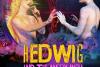Hedwig and the Angry Inch, o productie Teatrul Stela Popescu,  New Wave International Theatre Festival, pe 22 iunie 18845391