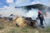 Incendiu de proporții: Ard 1000 de baloți de lucernă în județul Tulcea 18846253