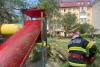 Copil de 10 ani, rănit de un copac căzut în zona unui spațiu de joacă din Suceava 18849051
