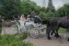Cătălina Ponor a îmbrăcat rochia de mireasă! Campioana a ajuns într-o caleaşcă la nunta de poveste cu Bogdan Jianu 18849180