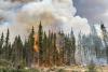Peste 600 de incendii forestiere devastatoare în Canada. 155.000 de oameni și-au părăsit locuințele 18849084