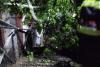  15 copaci rupți de vijelie la Hunedoara. Mii de oameni au rămas fără curent electric 18851093