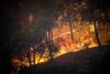 Mitsotakis: Grecia este "în război" cu incendiile de vegetație. Zeci de mii de turiști, evacuați 18851465
