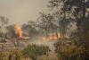 Mitsotakis: Grecia este "în război" cu incendiile de vegetație. Zeci de mii de turiști, evacuați 18851467