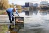  Dezastru ecologic într-un lac din Cluj-Napoca. Mii de pești au murit: blocurile și mall-ul au secat izvoarele 18854221