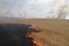 Circa 20 de hectare de vegetație uscată, arse în Mureș 18854747