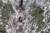 Intervenție dificilă în Piatra Craiului: O femeie de 48 de ani a alunecat în râpă 18858046