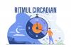  Știți ce este ritmul circadian? 18864608