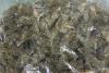 Peste 1 kg de canabis, descoperit de câinele Athos 18865859