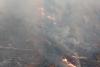 Incendiu puternic pe Valea Doftanei în zona Barajului Paltinu. Pompierii se luptă să stingă 12.000 de mp de pădure. 18867345