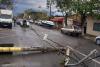 Furtuna face ravagii în județul Constanța. Copaci prăbușiți, stâlpi de electricitate căzuți pe șosea și mașini avariate 18868129