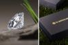 Barcelona vinde diamante făcute din iarba de pe Camp Nou în încercarea disperată de a face bani 18868530