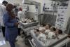 Zeci de bebeluși din Gaza, mutați în Egipt 18870718