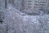 Tramvaie deraiate și circulație îngreunată în București. Autoritățile nu au deszăpezit străzile. Va continua să ningă în Capitală. Stratul de zăpadă va ajunge la 17 centimetri 18880516