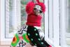 Tika ogarul, câinele haute-couture cu garderobă de 20.000 de dolari 18882742