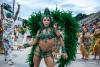 Carnavalul de la Rio, amenințat de țânțari  18883342