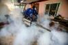 Febra dengue bagă Brazilia în stare de urgență. Boala este transmisă de țânțari 18883579