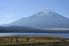 Un oraș din Japonia va bloca priveliștea Muntelui Fuji pentru turiștii problematici 18895956