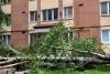 Dezastrul lăsat de furtună în Capitală! Copaci căzuţi, străzi inundate şi trafic paralizat 18902434