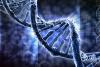 Secretele ADN-ului: cum îți poți apăra vitalitatea 18905943