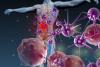 Sistemul imunitar: ce rol joacă celulele natural killer 18906103