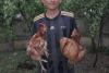 Fundația Carmistin a donat 10.000 găini ouătoare BIO 18906471