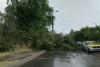 Furtună devastatoare în Medgidia: Inundații masive și copaci prăbușiți pe mașini 18908408