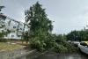 Furtună devastatoare în Medgidia: Inundații masive și copaci prăbușiți pe mașini 18908410