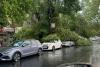 Furtună devastatoare în Medgidia: Inundații masive și copaci prăbușiți pe mașini 18908411