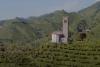 Legenda colinelor Prosecco din Italia, dealurile străvechi unde strugurii se recoltează manual de peste trei secole 18908313