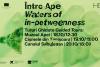 Expoziția „Între Ape (Waters of in-betweenness)” debutează la House of European Institutes Timișoara cu o serie impresionantă de evenimente culturale 18922611