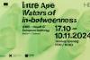 Expoziția „Între Ape (Waters of in-betweenness)” debutează la House of European Institutes Timișoara cu o serie impresionantă de evenimente culturale 18922613