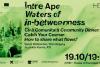 Expoziția „Între Ape (Waters of in-betweenness)” debutează la House of European Institutes Timișoara cu o serie impresionantă de evenimente culturale 18922615