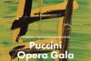 Opera Națională București invitată de onoare să susțină concertul de închidere – Gala Puccini – din cadrul celui de-al XXI-lea Festival Internațional de Operă din Daegu, în Coreea de Sud 18925285