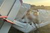 Accident aviatic fatal în Delta Dunării. Niciun supraviețuitor 18963734