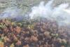 Incendiu pe 6 hectare la Chilia Veche - intervine elicopterul Black Hawk 18965888
