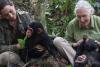 Jane Goodall, pioniera studiului cimpanzeilor, a murit la 91 de ani 18974338