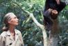 Jane Goodall, pioniera studiului cimpanzeilor, a murit la 91 de ani 18974339