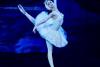 Balerina GANNA MUROMTSEVA în premieră la Bucureşti în „LACUL LEBEDELOR” pe 2 februarie la Sala Palatului 18990981