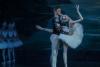 Balerina GANNA MUROMTSEVA în premieră la Bucureşti în „LACUL LEBEDELOR” pe 2 februarie la Sala Palatului 18990982